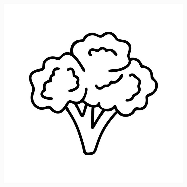 Ikona brokułów Doodle wyizolowana na białym. Szkice jedzenia. Ilustracja wektora. EPS 10 - Wektor, obraz