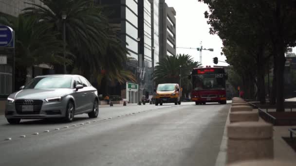 Verkehr auf einer von Bäumen umgebenen Straße aus der Innenstadt von Mexiko-Stadt - Filmmaterial, Video