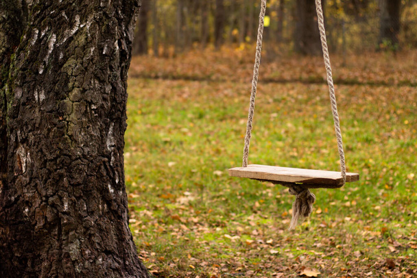 Мотузка гойдається на березовому дереві в сільській місцевості восени
 - Фото, зображення