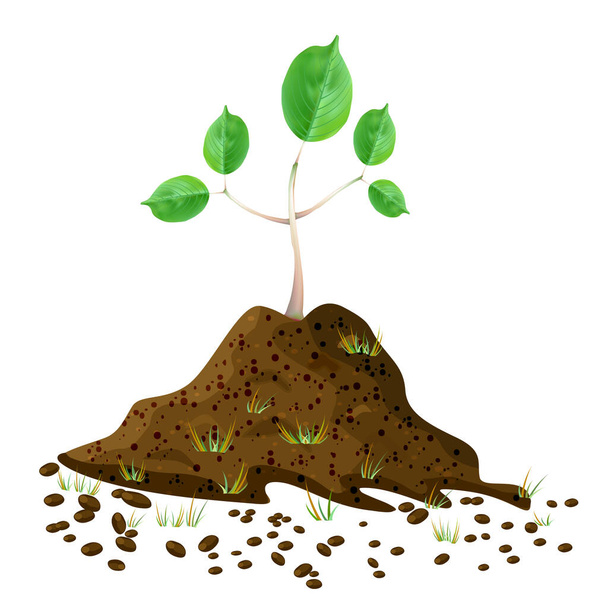Seedling in soil pile isolated on white background. Pile of dirt and growing green sapling. Sprout shoot germination in the pile dirt soil. Young tree growing in the ground. Agricultural plant spring. Arbor day. Earth day. Stock vector illustration - Vector, Image