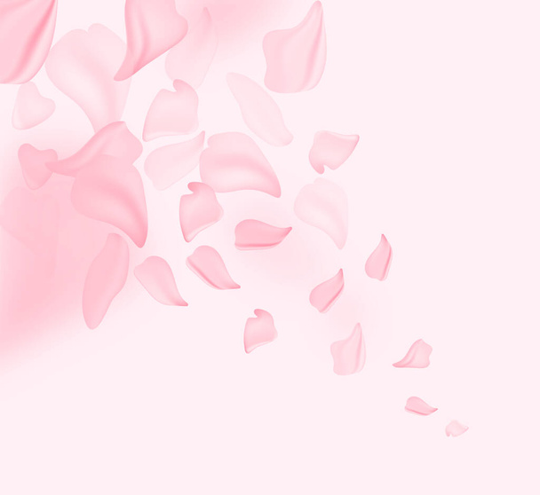 Sakura blossom flowers and may floral nature on pink background. For banner, branches of blossoming cherry against background. Dreamy romantic image, landscape, copy space. - Vector, Image