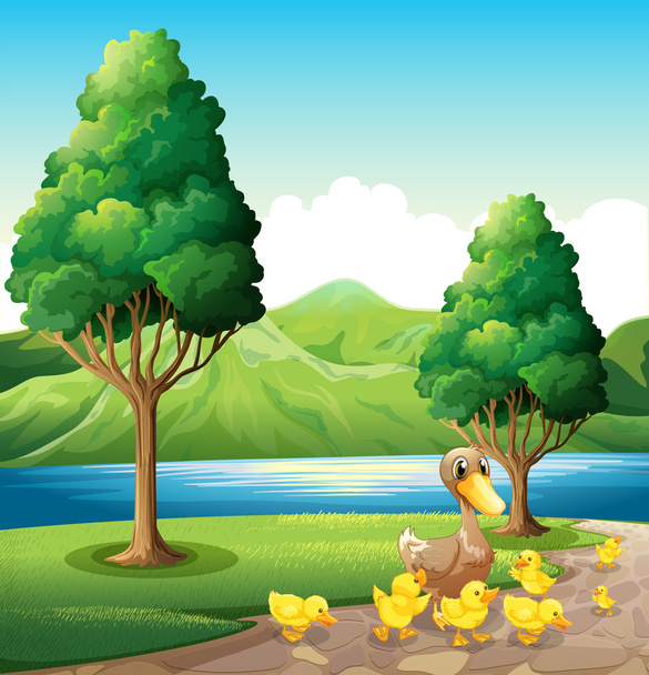 Uma família de pato na margem do rio
 - Vetor, Imagem