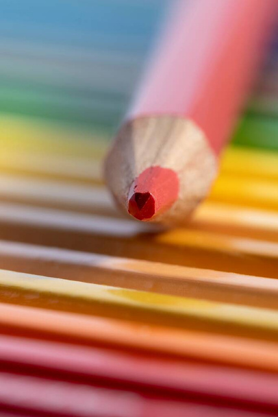 Un ritratto colorato di matite coloranti in una scatola con una matita di colore rosso che giace su di loro. - Foto, immagini