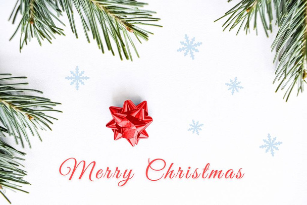 Christmas background. Spruce branches with text on a white background. - Foto, immagini