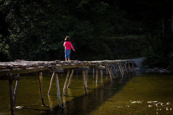 森の真ん中に小さな女の子が歩いている川の上に木製の橋の肖像画. - 写真・画像