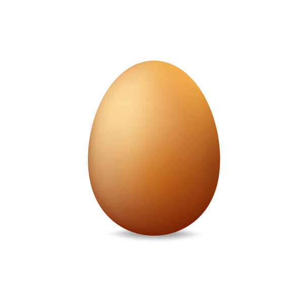 Egg on a white background - Vector, imagen