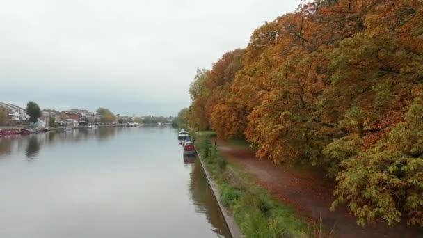 Повітряний краєвид на осінні дерева вздовж річки під хмарним небом
 - Кадри, відео
