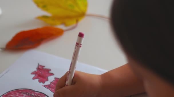 Kleines Mädchen färbt ein Eichhörnchen-Bild mit rotem Filzstift auf ein Papierblatt - Filmmaterial, Video