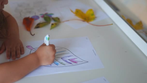 Petite fille colorier une grande image de feuille sur une feuille de papier avec un stylo - Séquence, vidéo