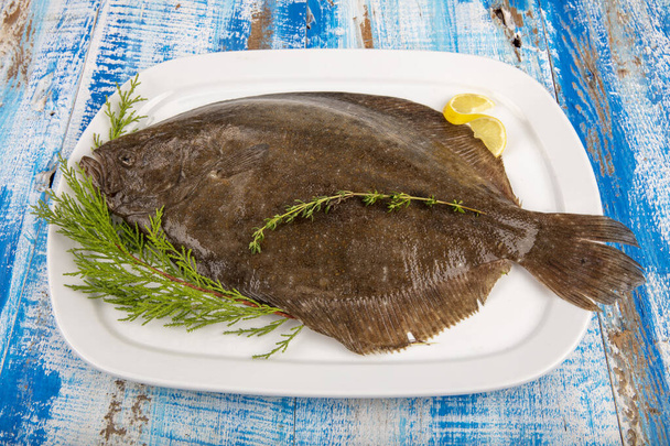 Close up Fresh Turbot fish or flatfish (Psetta maxima). Psetta maxima (Turbot Fish) on wooden floor. - Photo, Image