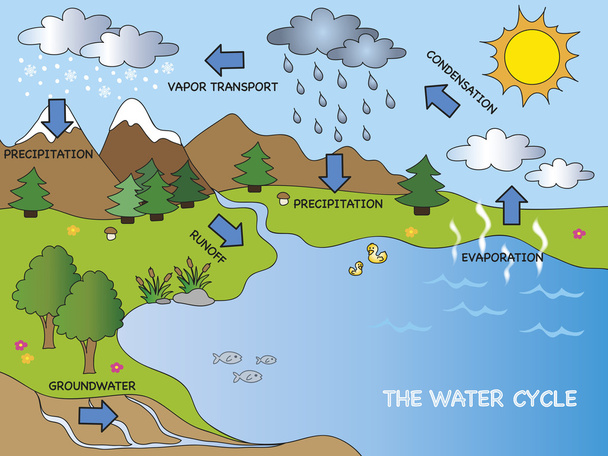 water cycle - Photo, Image