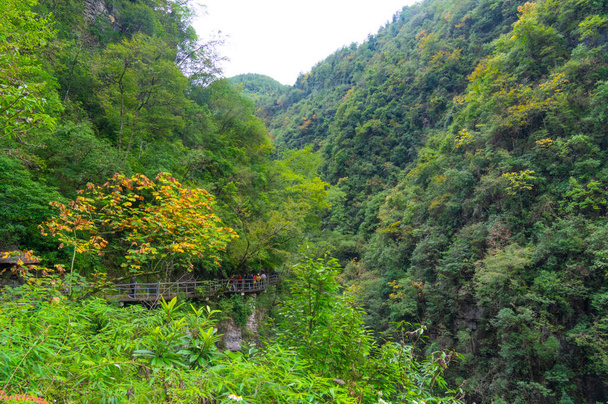 Herfst landschap van de Dixin Valley Scenic Area in Enshi, Hubei, China - Foto, afbeelding