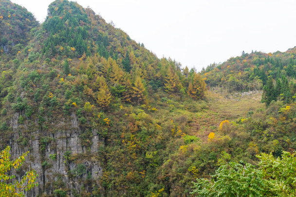 Podzimní scenérie Jianshiye Tři soutěsky Scénická oblast v Enshi, Hubei, Čína - Fotografie, Obrázek