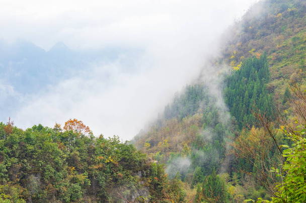Herfst landschap van Jianshiye Drie Gorges Scenic Area in Enshi, Hubei, China - Foto, afbeelding