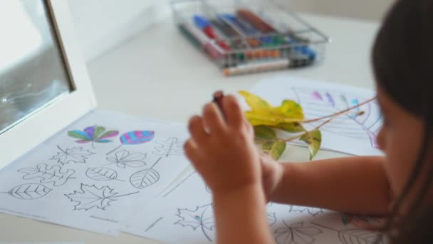 Pequena menina colorir diferentes tipos de folhas em uma folha de papel com uma caneta - Filmagem, Vídeo