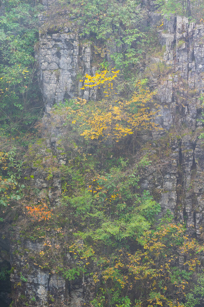 Podzimní scenérie scénické oblasti Enshi Grand Canyon, Hubei, Čína - Fotografie, Obrázek