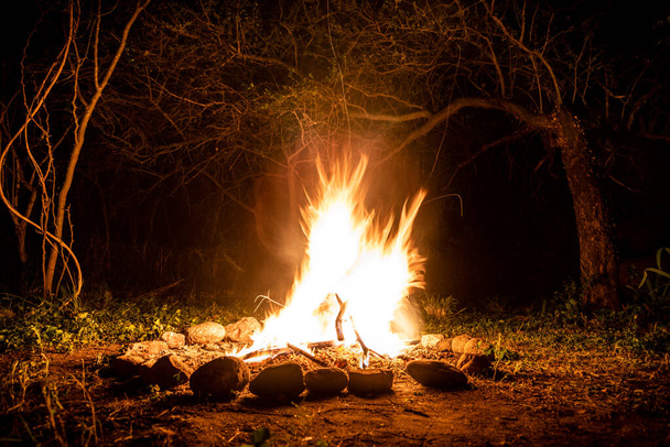 Flammen eines nächtlichen Lagerfeuers in einem dunklen, gespenstischen Wald, umgeben von Steinen, die starke Schatten bilden - Foto, Bild