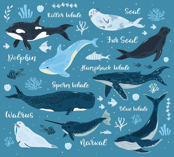 Θαλάσσιες φάλαινες. Δελφίνι, φάλαινα δολοφόνος, φάλαινα, φάλαινα και θαλάσσιος ίππος, υποθαλάσσια ζώα του ωκεανού. Υποβρύχια θηλαστικά εικονογράφηση - Διάνυσμα, εικόνα