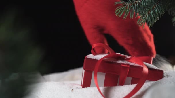 Ένα όμορφο κουτί με ένα τόξο κάτω από ένα σωρό χιόνι. Δύο χέρια με γάντια βγάζουν ένα δώρο και τινάζουν το χιόνι. Χριστουγεννιάτικη ιδέα - Πλάνα, βίντεο