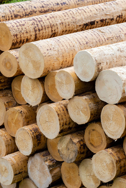 Industrie du bois en Alpes, Italie - Photo, image