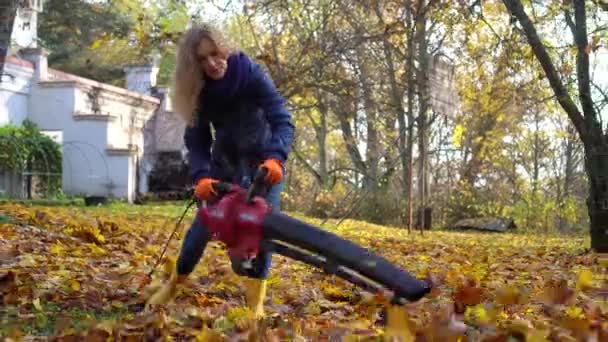 Skilled landscaper woman blowing leaves with leaf blower in customer house yard - Filmagem, Vídeo