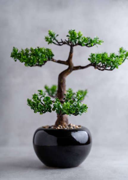 Kunststoff-Bonsai-Baum (künstlich) mit kleinem Topf auf grauem Hintergrund. Bonsaipflanze - Foto, Bild