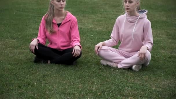 twee jonge tweelingen in roze sportkleding zitten op grasveld in lotushouding, mediteren - Video