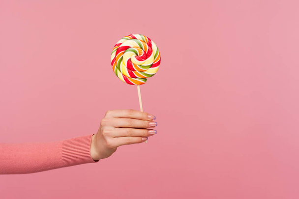 Profile side view closeup of female hand in pink sweater holding and showing rainbow colorful candy lollipop. Indoor studio shot isolated on pink background - 写真・画像