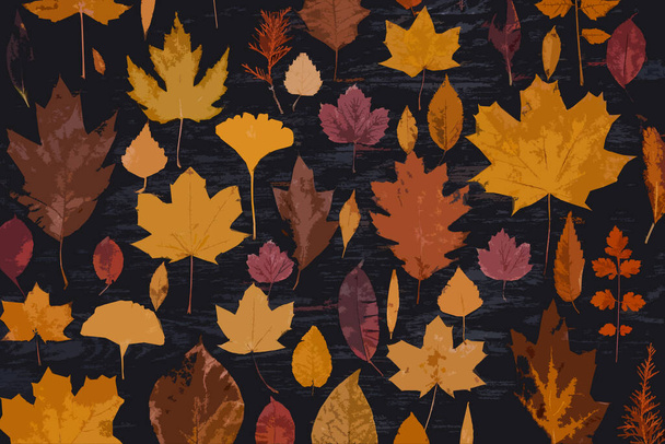 O bordo de outono amarelo deixa composições. Conceito de outono com fundo de folhas vermelho-amarelas. Folhas coloridas brilhantes - Foto, Imagem