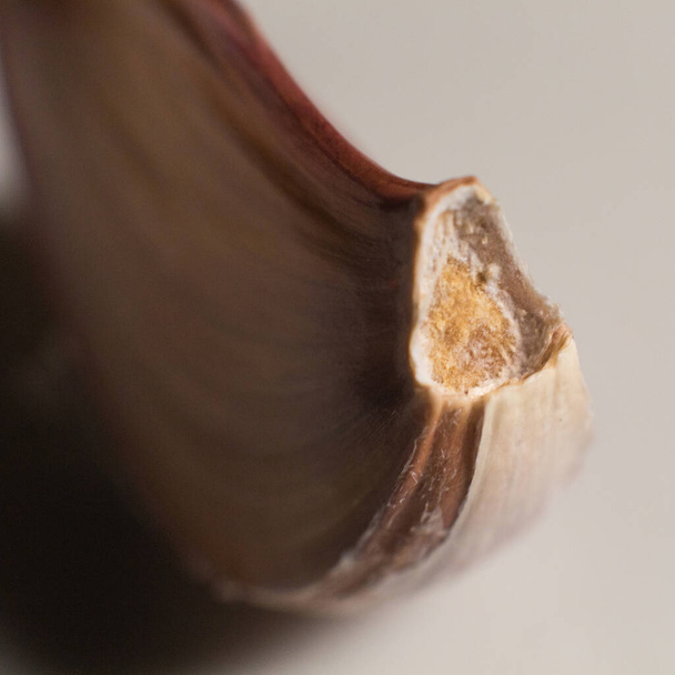 A Garlic on a white background - Foto, Imagem