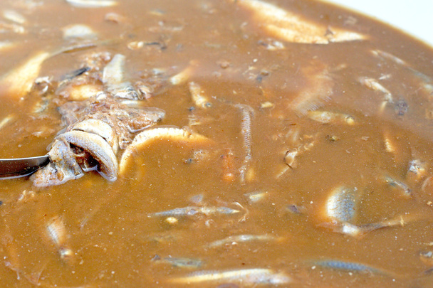 gezouten vis - traditionele thailand-Azië. - Foto, afbeelding