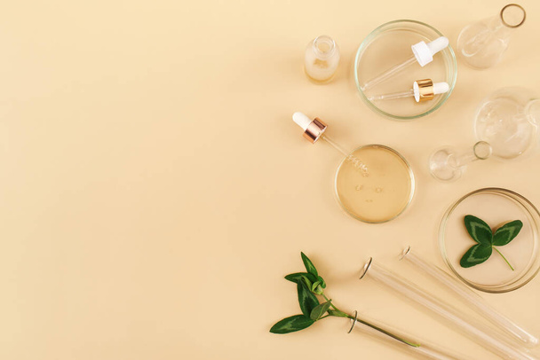 Laboratory glassware with serum and oil on beige background. Natural medicine, cosmetic research, bio science, organic skin care products. Flat lay, top view, copy space. - Fotó, kép