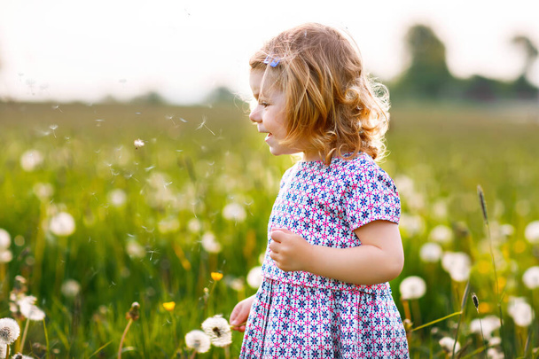 Adorable cute little baby girl blowing on a dandelion flower on the nature in the summer. Happy healthy beautiful toddler child with blowball, having fun. Bright sunset light, active kid. - Foto, afbeelding