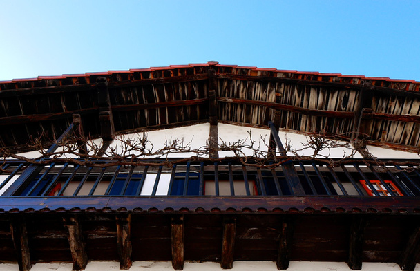 çatı ve dal-lesaka - Fotoğraf, Görsel