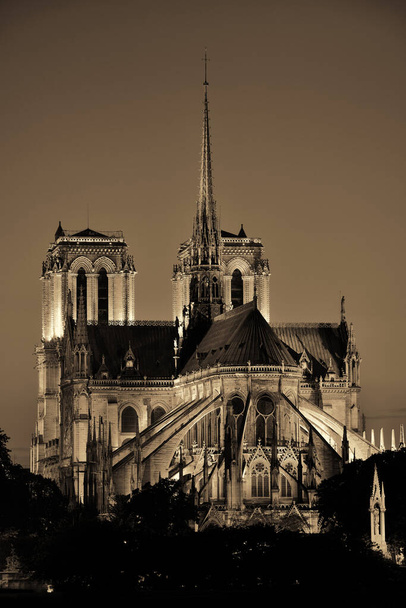 Notre Dame de Paris at dusk як знаменита міська пам'ятка. - Фото, зображення