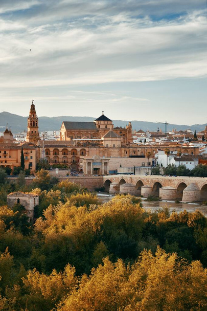 Mešita-katedrála, starobylý most a panorama města Cordoba ve Španělsku.  - Fotografie, Obrázek