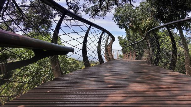 Une allée suspendue en bois avec des balustrades en treillis serpente entre les cimes des arbres. Des branches vertes tout autour. Ciel bleu devant. Jardin botanique du Cap. Afrique du Sud. - Photo, image