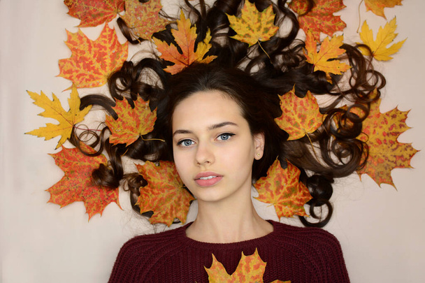 A young girl in a dark sweater lies in the maple leaves, top view. Portrait. Fashionable autumn concept. - Photo, image