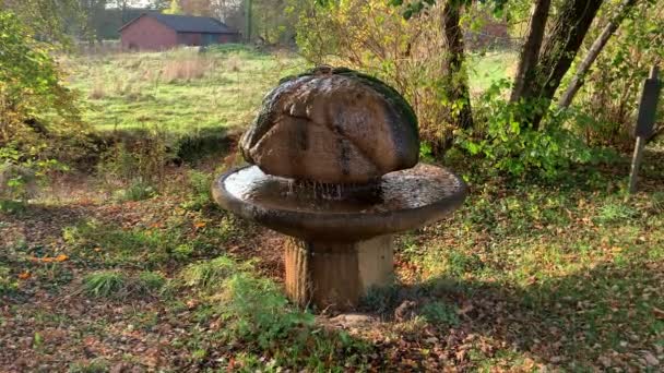 een stenen fontein die eruit ziet als een paddenstoel in het midden van het land - Video