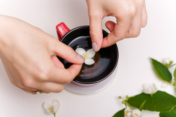 Kobiety wkładają kwiat jaśminu do filiżanki herbaty. Kwiaty na białym tle stołu. Zdrowe napoje, koncepcja wiosennego kwiatu.  - Zdjęcie, obraz