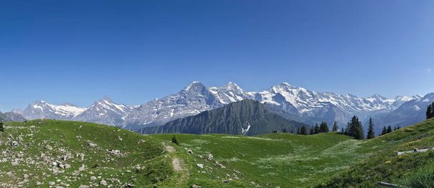 panoramic view of swiss alpine mountains and vegetation in summer with snow mountains in the background Eiger, Moench and Jungfrau . - Photo, Image