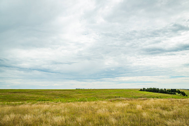 Prairies zijn ecosystemen die door ecologen worden beschouwd als onderdeel van de gematigde graslanden, savannes en struiken, gebaseerd op vergelijkbare gematigde klimaten, matige regenval en een samenstelling van grassen, kruiden en struiken, in plaats van bomen, zoals de domi - Foto, afbeelding