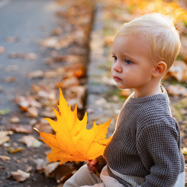 Warmth and coziness. Happy childhood. Sweet childhood memories. Child autumn leaves background. Warm moments of autumn. Toddler boy blue eyes enjoy autumn. Small baby toddler on sunny autumn day - Foto, imagen