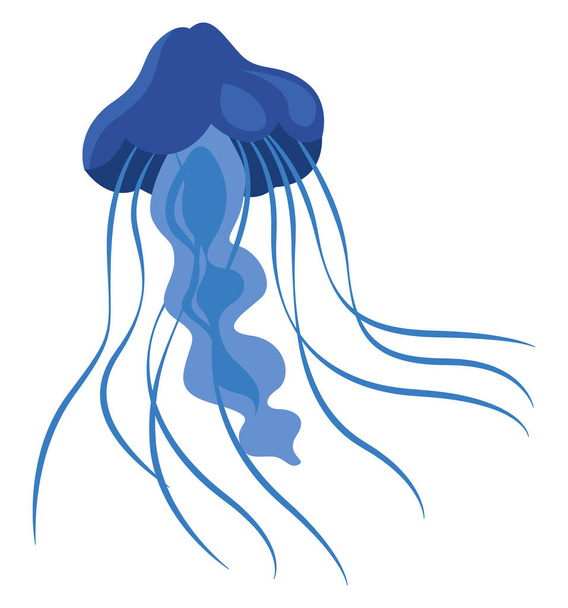Blue jellyfish,illustration,vector on white background - Vector, Image