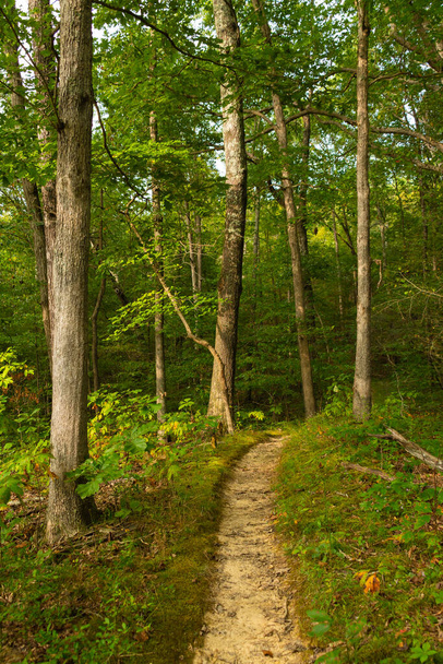 Hiking trail through the Garden of the Gods Wilderness.  Shawnee National Forest, Illinois, USA - Photo, image