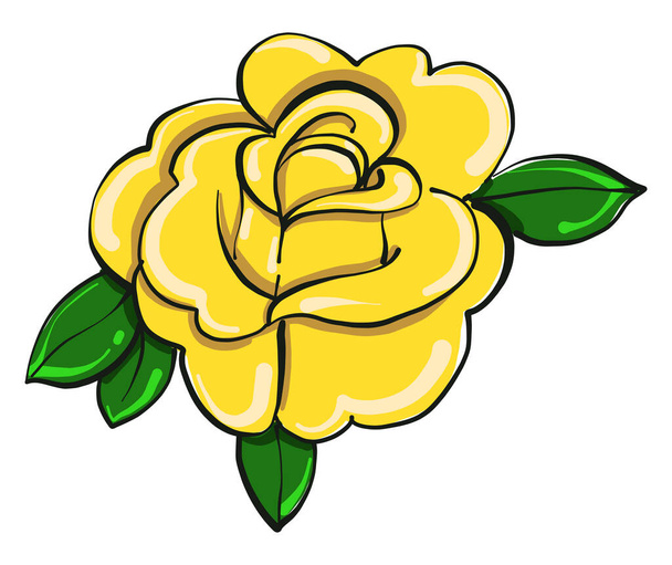 Žlutá růže, ilustrace, vektor na bílém pozadí - Vektor, obrázek