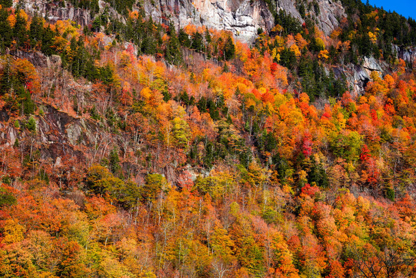 Couleur d'automne chez Evan Notch dans la montagne blanche - Photo, image