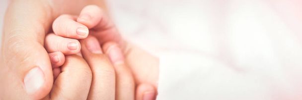 Mothers Hand Holding Newborn Baby's Hand - Infant Care Concept - Photo, Image