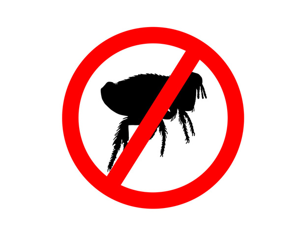 Sinal de proibição para pulgas no fundo branco
 - Vetor, Imagem