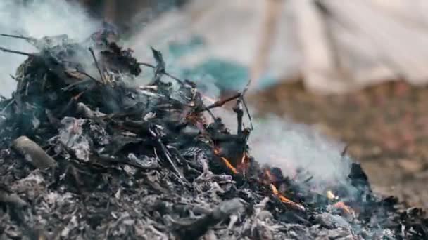 Ein Haufen grauer Asche, auf dem eine leichte orangefarbene Flamme brennt und der Wind an einem bewölkten Tag Rauch aus dem Feuer bläst - Filmmaterial, Video